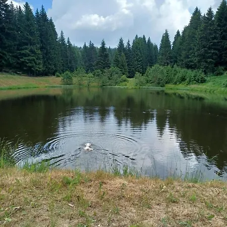 Roubenka Pod Lesem *