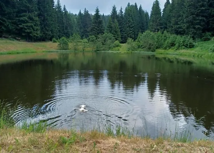 Roubenka Pod Lesem *